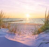 Ferienwohnung 4* Zingst Ostsee Bodden LAST MINUTE 28.8.-7.9.25