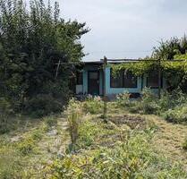 Pachtgarten Schrebergarten mit massiver Laube - Kraftsdorf