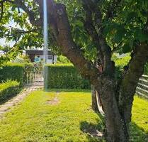 Doppelgarten abzugeben - 500,00 EUR Kaltmiete, ca.  0,00 m² in Freiberg (PLZ: 09599)