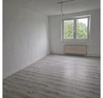 3 ZKB in Mankmoos (Warin) zu vermieten