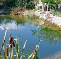 Traumhaftes EFH mit Paradiesgarten - Steinhöring