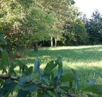Großes Naturnahes Freizeitparadies, Strom und Wasser vorhanden - Regensburg Konradsiedlung