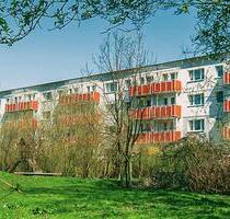 Ab sofort! - 385,00 EUR Kaltmiete, ca.  60,80 m² in Prenzlau (PLZ: 17291)