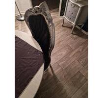 Wohnung zur Zwischenmiete! verfügbar im Dezember - Leipzig Ost