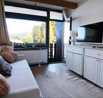 Gemütliches Apartment in Schluchsee zu vermieten