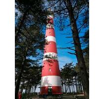 AMELAND FEWO ZEUGNISFERIEN UND WEITERE TERMINE FREI MIT HUND - Lingen (Ems)