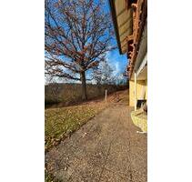 Helle 80 m² 3 Zimmer Erdgeschosswohnung, Terrasse in Walldürn