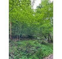 Wald Grundstück Waldfläche - 2.950,00 EUR Kaltmiete, ca.  0,00 m² in Osann-Monzel (PLZ: 54518)