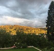 Großzügige 4,5-Zimmer-Wohnung mit Garten - Lorch