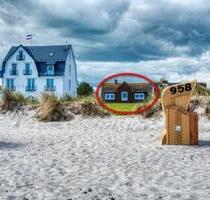 1. Reihe Schönberger Strand Urlaub mit Hund 11.07. - 18.07.2025 - Schönberg (Holstein)