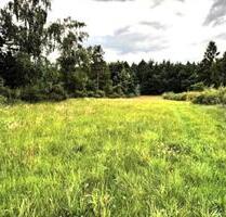 Attraktives Bauland - Gute Lage - Sprakensehl