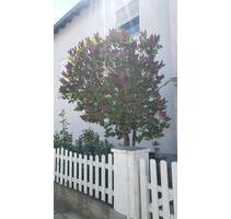 EINE SEHR SCHÖNE 3 ZIMMER WOHNUNG ZU VERMIETEN - Hof Neuhof