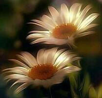 Eigentumswohnung 4 Zimmer - 325.000,00 EUR Kaufpreis, in Ingolstadt (PLZ: 85049)