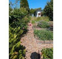 Kleingarten Kringelgraben Südstadt - Papendorf