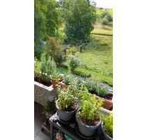 3-Zimmer Wohnung in Inzlingen von Privat