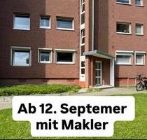 2,5 Zimmerwohnung im Grünen, aber Stadtnah - Lübeck Sankt Lorenz Nord