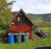 Stuttgart-Uhlbach, grosser Garten (1000qm) zu vermieten
