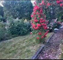 Kleingarten 270qm - 700,00 EUR Kaltmiete, ca.  0,00 m² in Heidenau (PLZ: 01809)