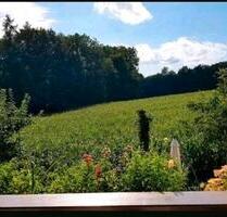 Helle 4 Zimmer Dachgeschosswohnung mit Balkon *befristet* - Gessertshausen