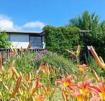 Garten mit Laube in gepflegter kleiner Gartenanlage zu vergeben - Chemnitz Ebersdorf