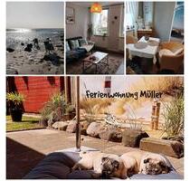 Ferienwohnung mit Hund, FW NordseeElbe - Brunsbüttel