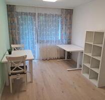 Möblierte 1 - 2 Zimmer Wohnung mit Balkon in Freiberg a.N. (30m²) - Freiberg am Neckar