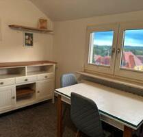 TOP helle 2 Zimmer DG Wohnung Appartement neu MÖBLIERT - Bammental