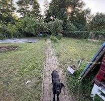 Eigentumsgarten zu verpachten mit Garage - Neubrandenburg Datzeberg