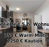 ab 01.12. - Möbliertes Apartment - vollständig ausgestattet - Wellendingen - Wilfingen