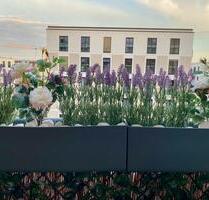 Praktische Neubauwohnung in Top-Lage in Friedenau U9, U4, S4142 - Berlin Tempelhof-Schöneberg