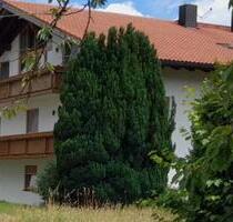 Rott am Inn: Tolle 2,5-Zimmer-Wohnung, DG, inkl. EBK + Holzofen - Rosenheim Innenstadt