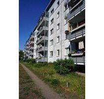 Sanierte 3. Zimmer in Waldstadt - Potsdam Industriegelände