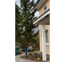 Schönes Einfamilienhaus mit 6 Zimmern - Berlin Treptow-Köpenick
