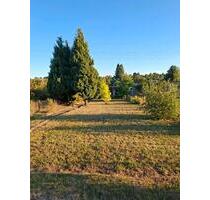 Garten zu verbachten - 20,00 EUR Kaltmiete, ca.  0,00 m² in Klostermansfeld (PLZ: 06308)