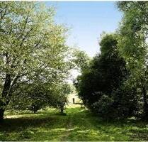 Pachtgarten am Stadtrand von Eisfeld