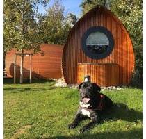 Schönes Camping Pod inmitten eines Naturschutzgebietes - Wuppertal Elberfeld