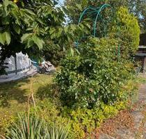Garten in Schildau abzugeben - 500,00 EUR Kaltmiete, ca.  0,00 m² in Belgern-Schildau (PLZ: 04889)
