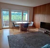 1.5 Zimmer Appartement - 450,00 EUR Kaltmiete, ca.  40,00 m² in Unterkirnach (PLZ: 78089)