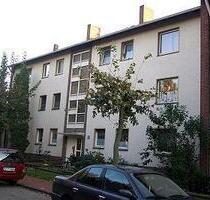 Geräumige 3 ZKB mit Balkon im Asternweg - Wohnung in Rheine