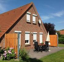 Frühjahr Nordsee-Küste,Ferienhaus Garten Zaun, Urlaub mit Hund - Dortmund Innenstadt West