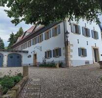 2,5 Zimmer Wohnung Einbauküche im Dresdner Süden in ruhiger Lage. - Dresden Prohlis