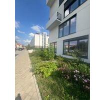 Erstbezug im Neubaubereich EG: Fläche frei für individuelle Gestaltung - Potsdam Babelsberg