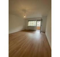 Sanierte 3-Zimmer-Wohnung m. Balkon, direkt Zugang zum Wöhrdersee - Nürnberg Erlenstegen