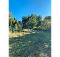 Freizeitgrundstück - 32,00 EUR Kaltmiete, ca.  0,00 m² in Kindsbach (PLZ: 66862)