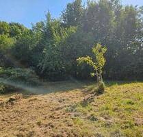 Weide Obstwiese Garten - 50,00 EUR Kaltmiete, ca.  0,00 m² in Pfinztal (PLZ: 76327)