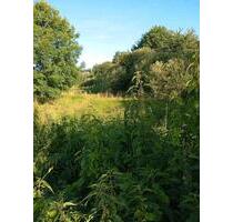 Weidefläche - 100,00 EUR Kaltmiete, ca.  0,00 m² in Porta Westfalica (PLZ: 32457)