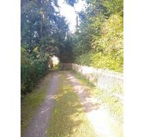 idyllisches Grundstück mit Haus zum Ausbauen - Burgstädt