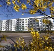 Altengerechtes und modernes Wohnen - Dessau-Roßlau