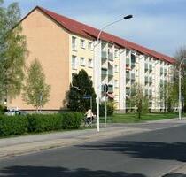 schnell sein! neu renovierte 2,5-Raumwohnung zu vermieten - Finsterwalde