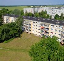 1 Raumwohnung 